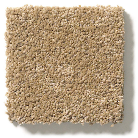 PAWPARAZZI I - Golden Straw 00224 PAWPARAZZI I - Golden Straw 00224