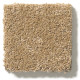 PAWPARAZZI I - Golden Straw 00224 PAWPARAZZI I - Golden Straw 00224