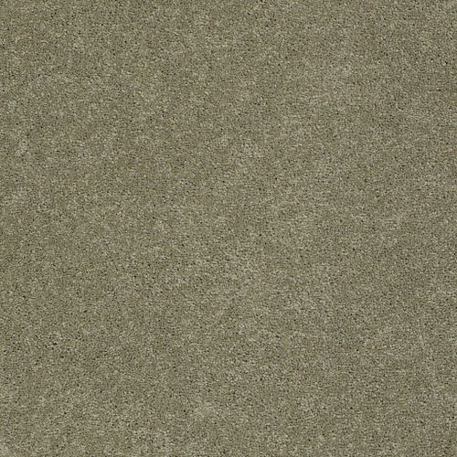 PAWPARAZZI I - Dry Sage 00536