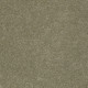 PAWPARAZZI I - Dry Sage 00536 PAWPARAZZI I - Dry Sage 00536