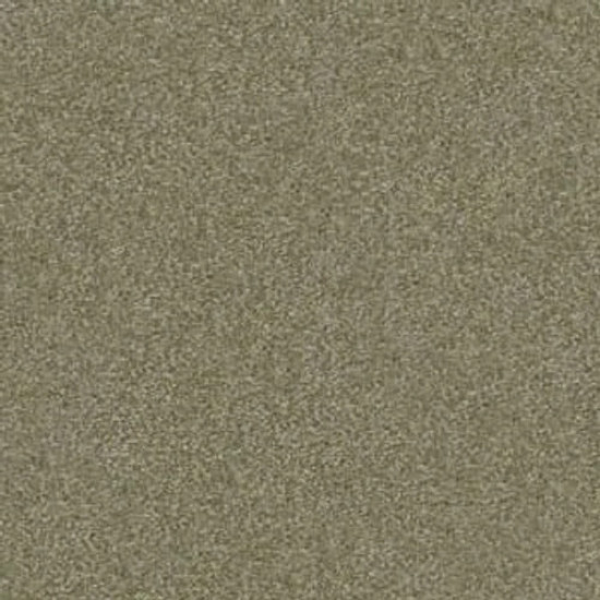PAWPARAZZI I - Dry Sage 00536 PAWPARAZZI I - Dry Sage 00536