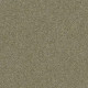PAWPARAZZI I - Dry Sage 00536 PAWPARAZZI I - Dry Sage 00536