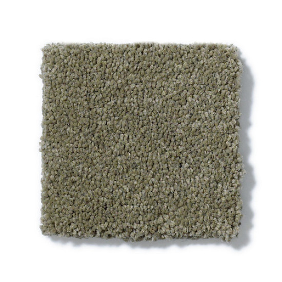 PAWPARAZZI I - Dry Sage 00536 PAWPARAZZI I - Dry Sage 00536
