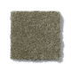 PAWPARAZZI I - Dry Sage 00536 PAWPARAZZI I - Dry Sage 00536