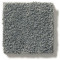 PAWPARAZZI I - Steel Wool 00545