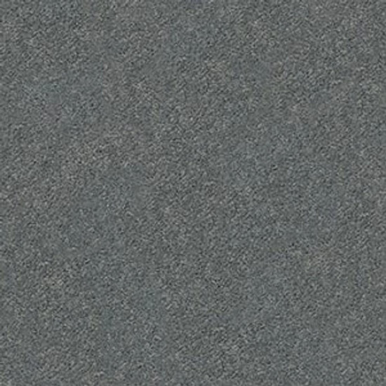 PAWPARAZZI I - Steel Wool 00545