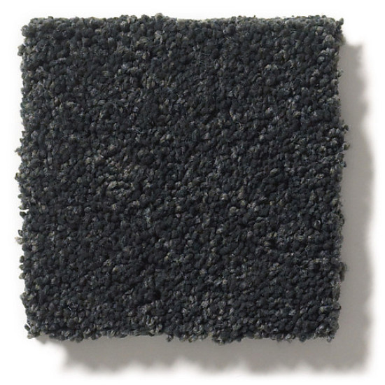 PAWPARAZZI I - Night Shade 00558 PAWPARAZZI I - Night Shade 00558