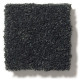 PAWPARAZZI I - Night Shade 00558 PAWPARAZZI I - Night Shade 00558
