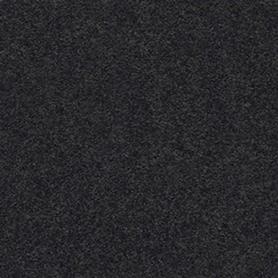 PAWPARAZZI I - Night Shade 00558 PAWPARAZZI I - Night Shade 00558