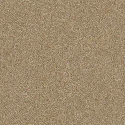 PAWPARAZZI I - Peanut Shell 00186