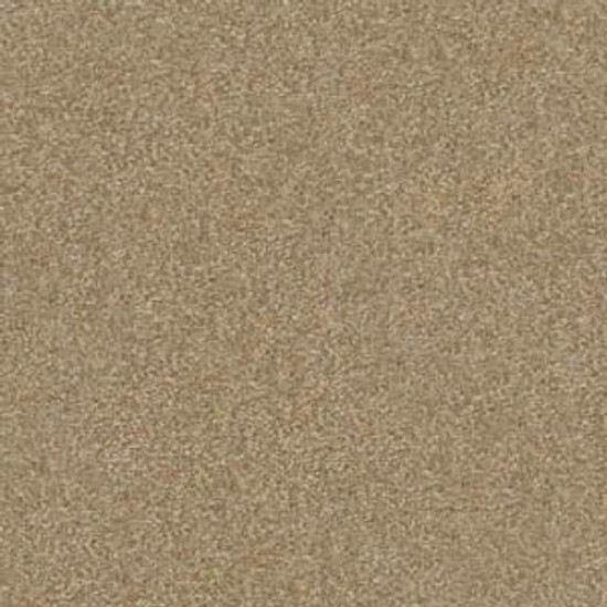 PAWPARAZZI I - Peanut Shell 00186