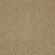 PAWPARAZZI I - Peanut Shell 00186
