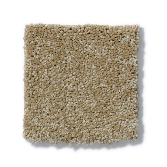 PAWPARAZZI I - Peanut Shell 00186