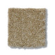 PAWPARAZZI I - Peanut Shell 00186