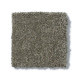 PAWPARAZZI I - Overcoat 00716 PAWPARAZZI I - Overcoat 00716