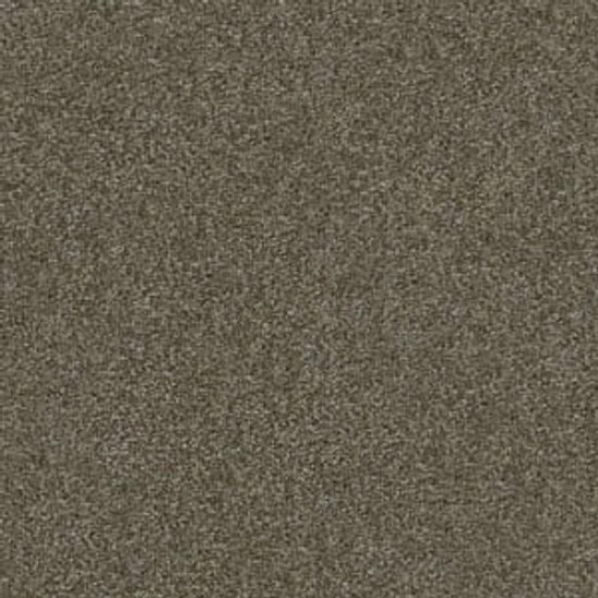 PAWPARAZZI I - Overcoat 00716 PAWPARAZZI I - Overcoat 00716