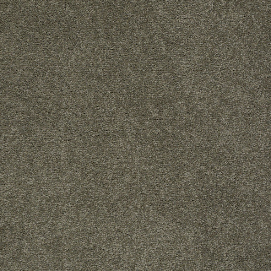 PAWPARAZZI I - Overcoat 00716 PAWPARAZZI I - Overcoat 00716