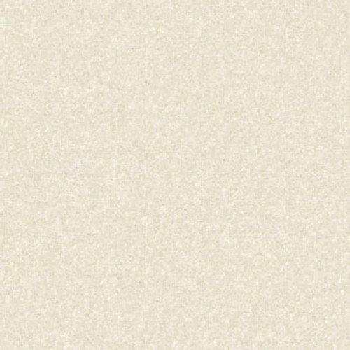 PAWPARAZZI II - Antiquity 00121