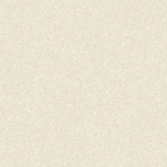 PAWPARAZZI II - Antiquity 00121