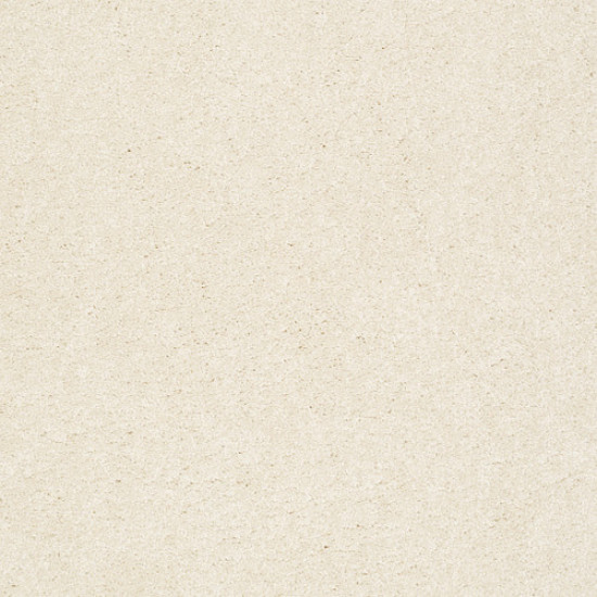 PAWPARAZZI II - Antiquity 00121