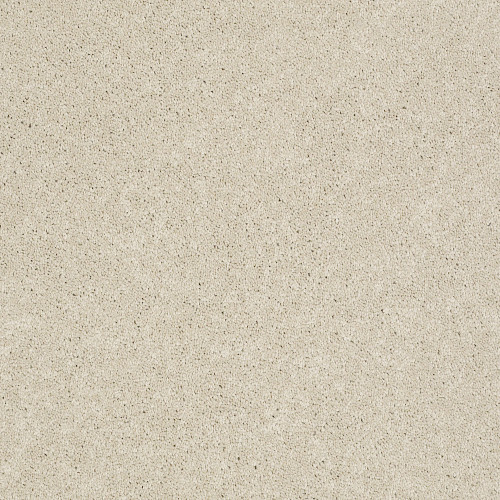 PAWPARAZZI II - Toffee Cream 00183
