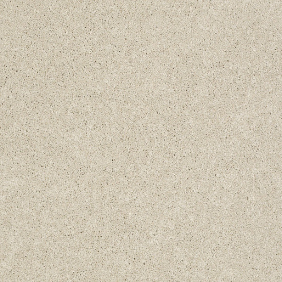 PAWPARAZZI II - Toffee Cream 00183