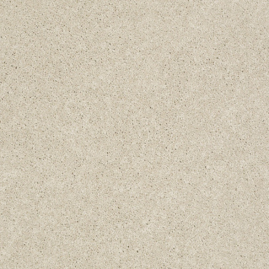 PAWPARAZZI II - Toffee Cream 00183