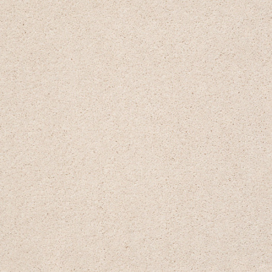 PAWPARAZZI II - Barely Beige 00111 PAWPARAZZI II - Barely Beige 00111