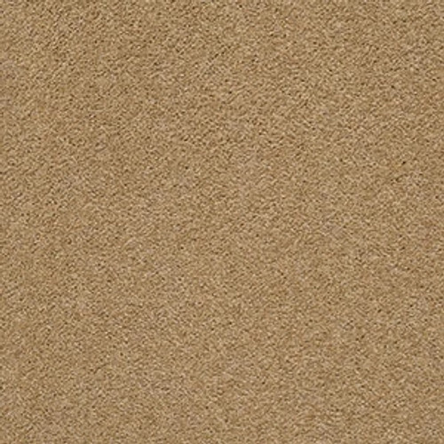 PAWPARAZZI II - Golden Straw 00224
