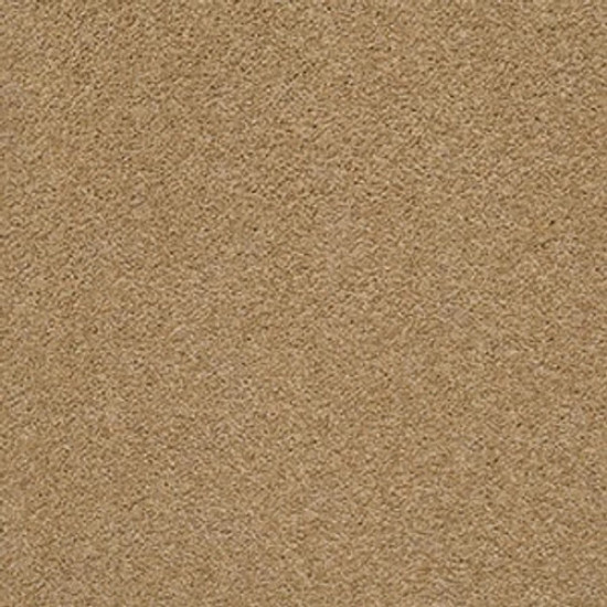 PAWPARAZZI II - Golden Straw 00224
