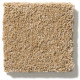 PAWPARAZZI II - Golden Straw 00224