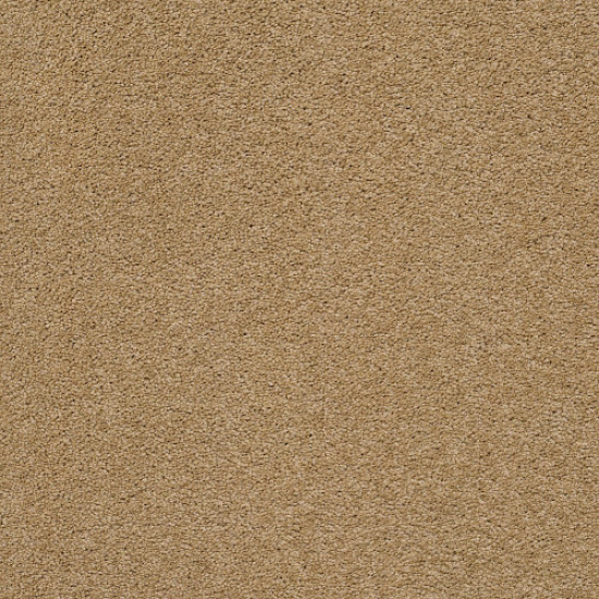 PAWPARAZZI II - Golden Straw 00224