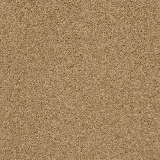 PAWPARAZZI II - Golden Straw 00224