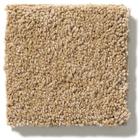 PAWPARAZZI II - Golden Straw 00224