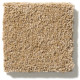 PAWPARAZZI II - Golden Straw 00224
