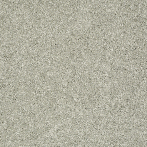 PAWPARAZZI II - Gray Mirage 00533