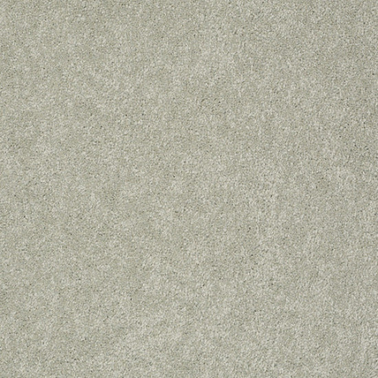 PAWPARAZZI II - Gray Mirage 00533