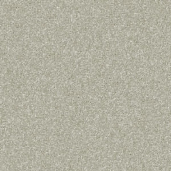 PAWPARAZZI II - Gray Mirage 00533