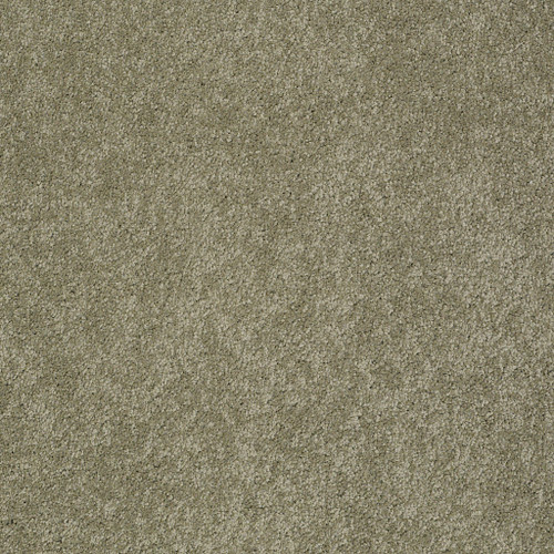 PAWPARAZZI II - Dry Sage 00536