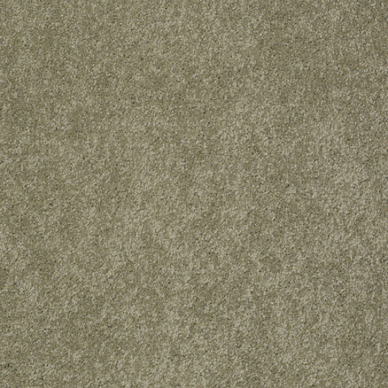 PAWPARAZZI II - Dry Sage 00536 PAWPARAZZI II - Dry Sage 00536