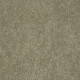 PAWPARAZZI II - Dry Sage 00536 PAWPARAZZI II - Dry Sage 00536