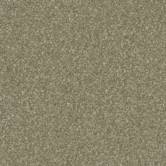 PAWPARAZZI II - Dry Sage 00536 PAWPARAZZI II - Dry Sage 00536