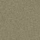PAWPARAZZI II - Dry Sage 00536 PAWPARAZZI II - Dry Sage 00536