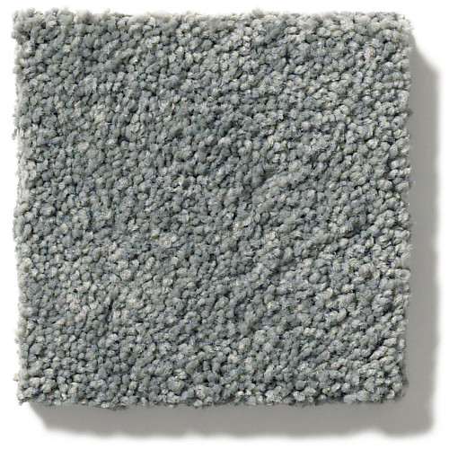 PAWPARAZZI II - Steel Wool 00545