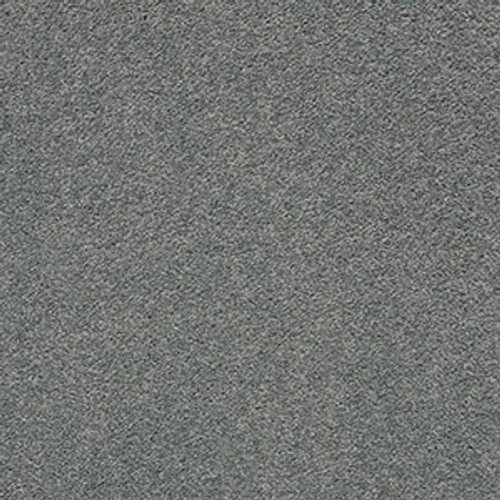 PAWPARAZZI II - Steel Wool 00545