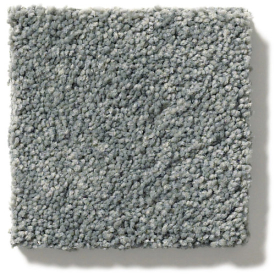 PAWPARAZZI II - Steel Wool 00545 PAWPARAZZI II - Steel Wool 00545