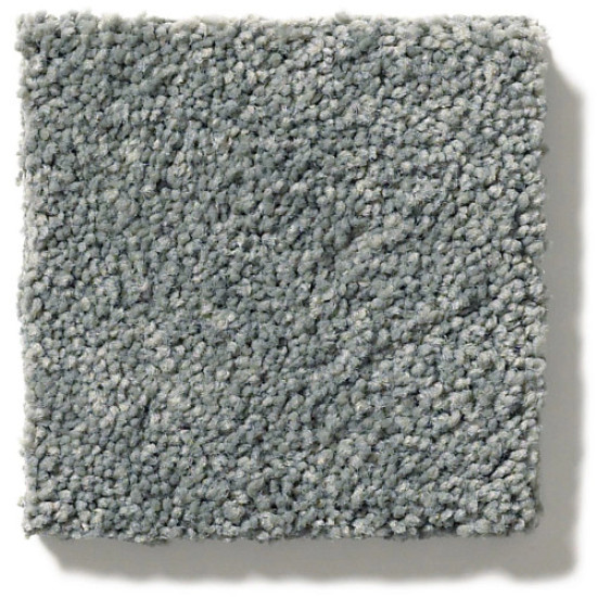 PAWPARAZZI II - Steel Wool 00545 PAWPARAZZI II - Steel Wool 00545