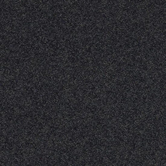 PAWPARAZZI II - Night Shade 00558