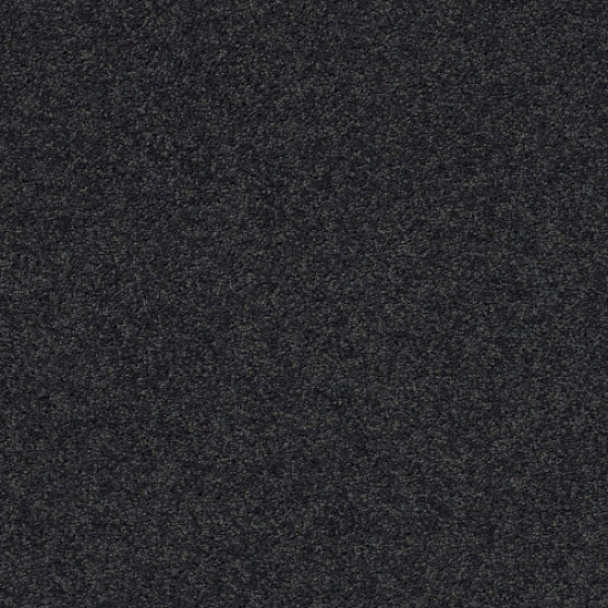 PAWPARAZZI II - Night Shade 00558