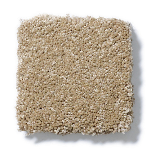 PAWPARAZZI II - Peanut Shell 00186